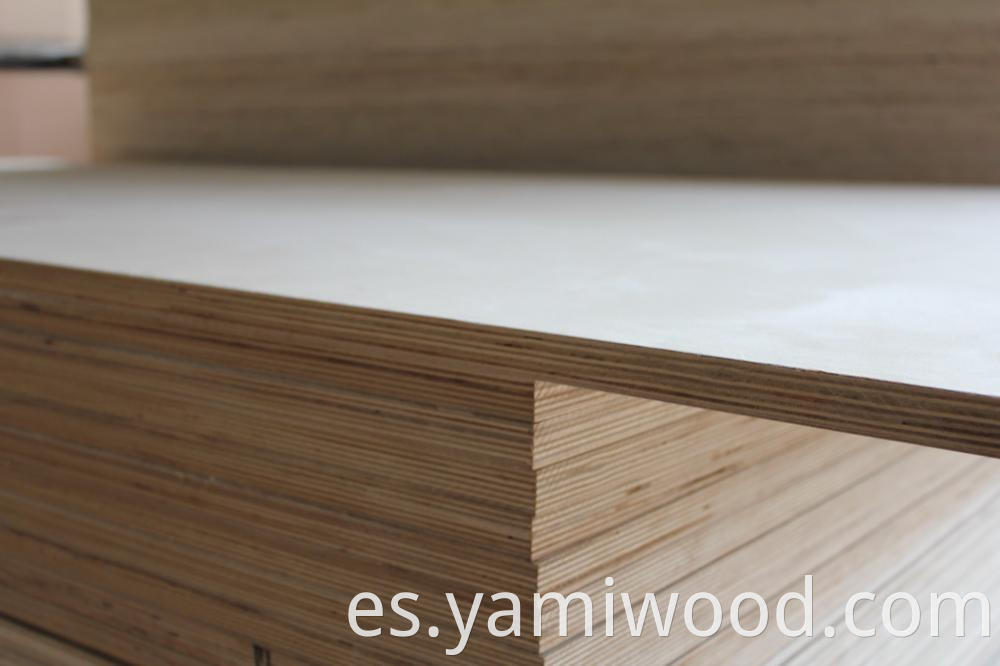 Birch Plywood 12